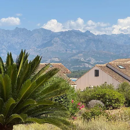 Regina - & Port De A Pied * Calvi (Corsica)