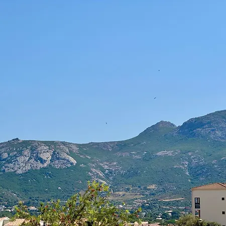 Regina - & Port De A Pied Calvi (Corsica)