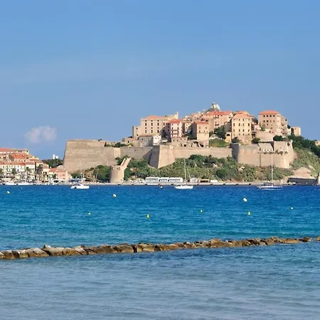 Regina - & Port De A Pied Daire Calvi (Corsica)