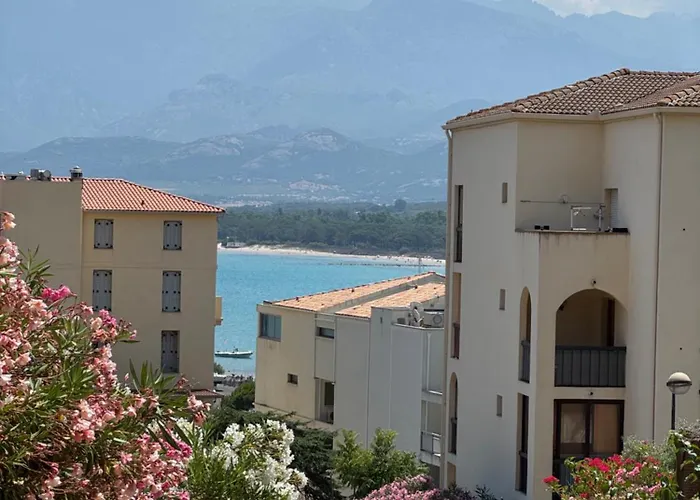 Regina - & Port De A Pied * Calvi (Corsica)