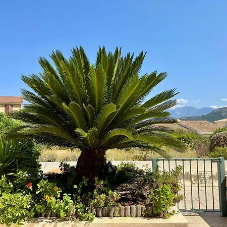 Régina - Plage&port De à Pied Appartamento Calvi (Corsica)