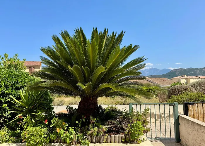 Régina - Plage&port De à Pied Appartamento Calvi (Corsica)