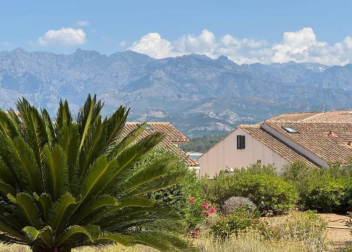 Regina - & Port De A Pied * Calvi (Corsica)