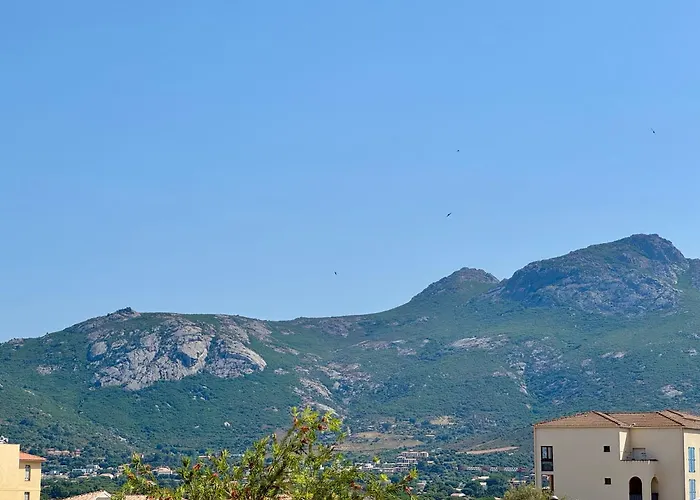 Regina - & Port De A Pied Calvi (Corsica)
